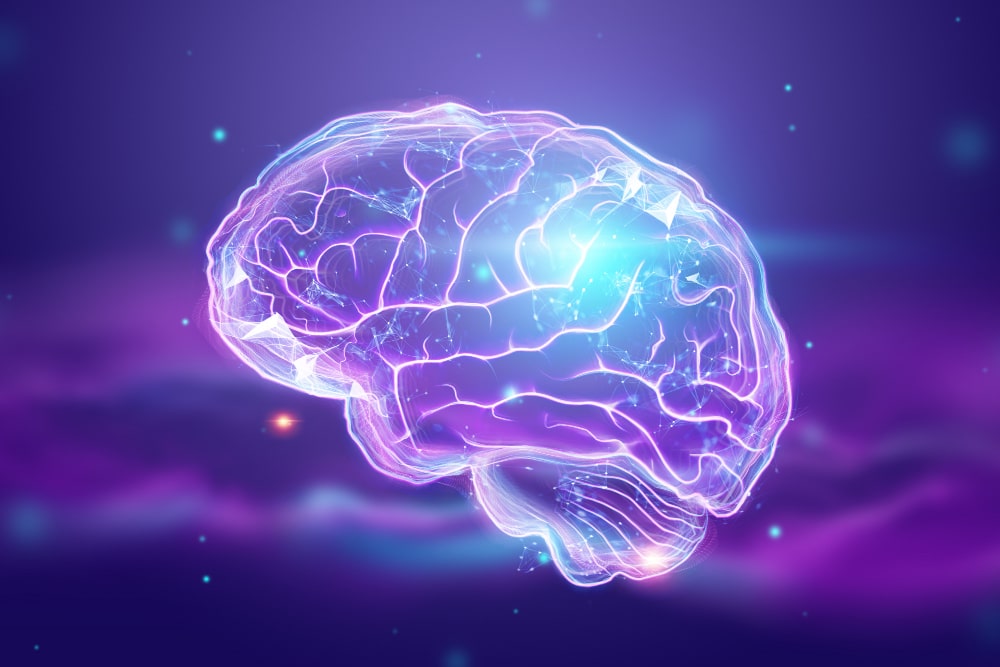 hypothalamus Stress systemen