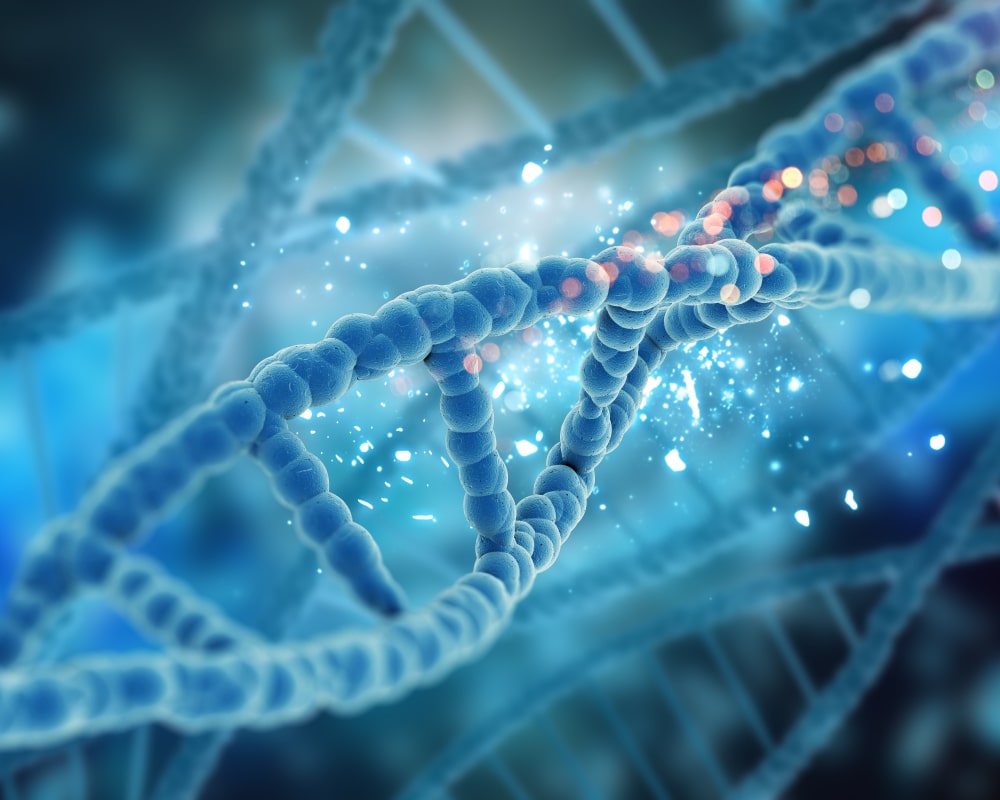 DNA veroudering